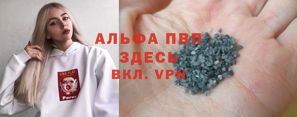 стафф Новозыбков