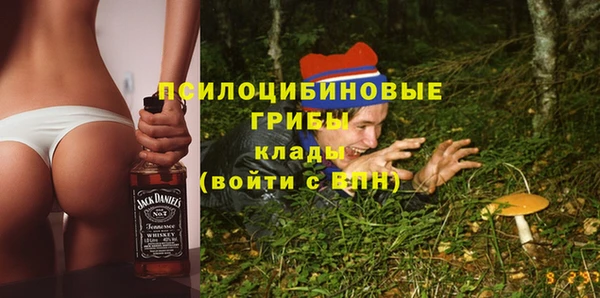 стафф Новозыбков