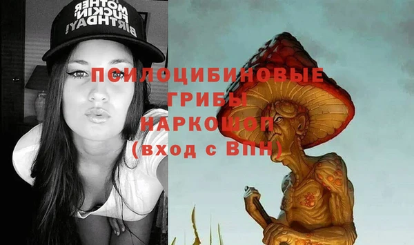шишки Нязепетровск